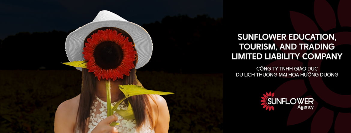 banner sunflower 02 27 Aug 2024